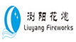 湖南瀏陽花炮有限公司